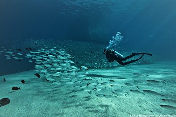 3 Tank Combo Cabo Reserve & Corridor, Certified Divers with MANTA