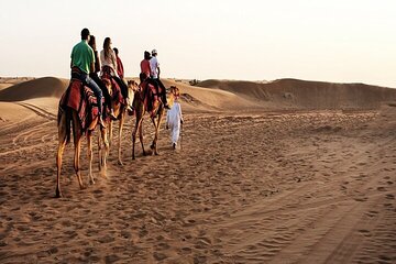 Quad Biking with Camel Ride and Beduin Dinner in Egypt