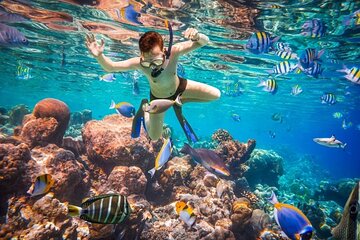 Snorkeling Excursion in Ras Mohammed and White Island 