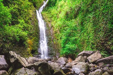 Hike Trail to Waterfall & Nature Walk