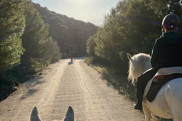 Horseback Riding with Certified Guide