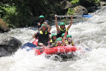 Full-Day Private White Water Rafting Ayung River and Ubud City Tour