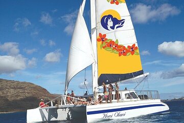 Kona Coastline Escape: Sail with Dolphins & Turtles on Honi Olani