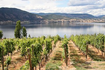 Naramata Private Wine Tour - Full Day