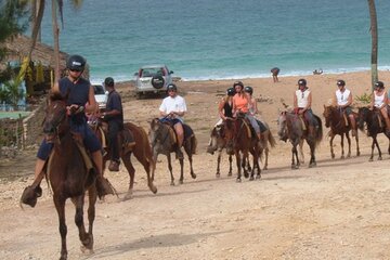 Amazing 3-Hour Horseback Riding at Puerto Plata with Pickup