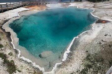 5 Person Full Day PRIVATE Yellowstone Tour- Picnic, Binoculars, Scope, Huge Van