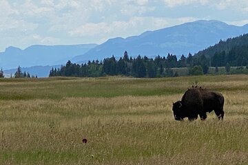 2-Person Grand Teton All-Day Private Tour