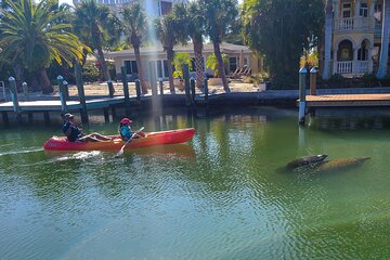 Siesta Key Kayak Tour 