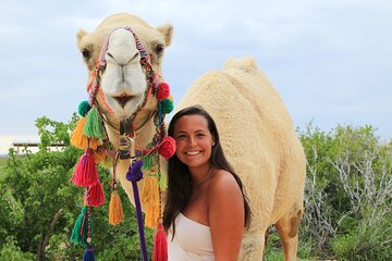 ATV Tour, Camel Ride, Tequila Tasting and Mexican Buffet Lunch