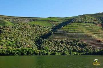 2-hour Rabelo Boat tour in Pinhão