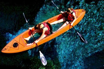 Bioluminescent Clear Bottom Kayak or Paddleboard Sit-On-Top Kayak Hybrid Tour!