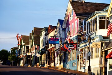 3 Hour Private Tour: Explore all the top spots of Acadia!