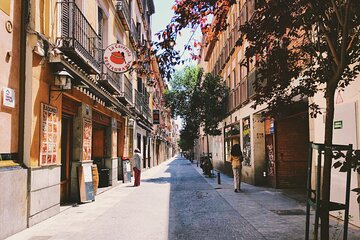 Madrid Private Full Day Tour with driver, guide and tickets