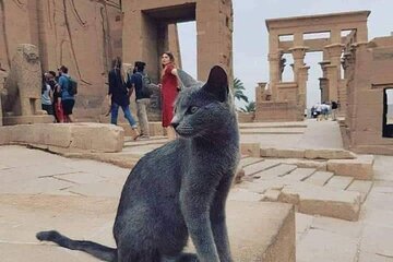 soul mate{4days luxor,aswan}