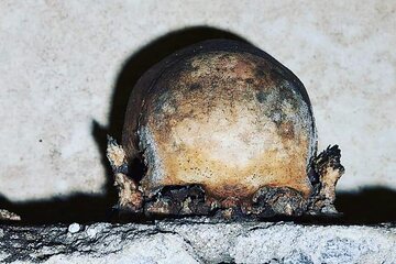 The Skull with the Ears: the Cult of the Dead in the Church of S. Luciella