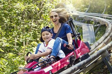 Copperhead Mountain Coaster