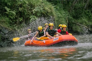 COMBO PACKAGE: Ayung River Rafting and Ubud Tour