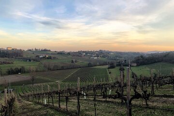 Food and Wine Tour on the Prosecco Hills from Venice