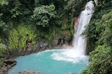  Premium Tour:Sloths and Río Celeste y Cortez Waterfalls (Tenorio Volcano Park)