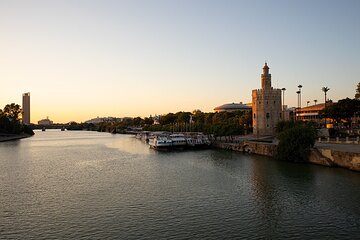 Private tour One day in Seville