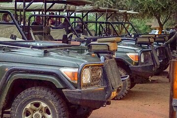 Safari Game Drive: Dinokeng Game Reserve