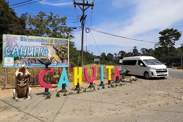 Full-Day Jaguar Rescue Center and Cahuita National Park Tour