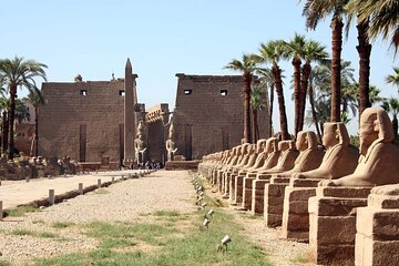 From luxor special Nile cruise program for 3 nights with plane ticket from Cairo