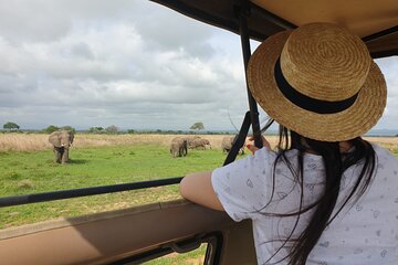 Private Full-Day Trip to Mikumi National Park from Dar es Salaam