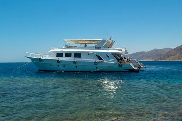 Private Boat Hire in Sharm El Sheikh