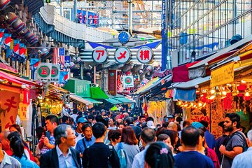 Tokyo Shopping Street Hopping Private Tour with Government Licensed Guide