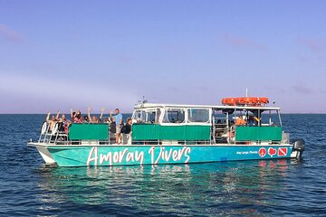 1.5 Hour Bay Side Key Largo Sunset Cruise on a Spacious Catamaran