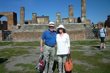 POMPEII TOUR - Skip the line access - from Sorrento or Naples (private van)