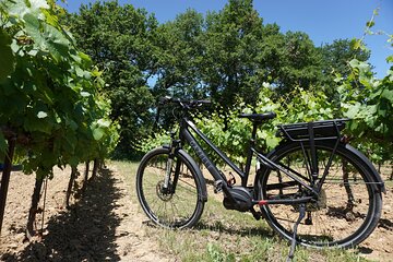 Full day E-Bike rental in the Luberon