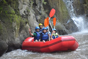 Half-Day Private Ayung Rafting Adventure in Ubud River