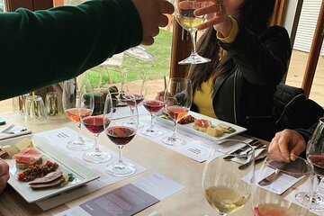 Winery Tour and Food Experience