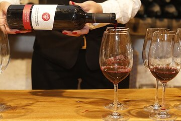Full-Day Private Wine Tour in Kakheti Region with Wine tasting