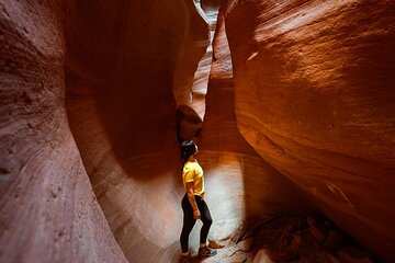 East Zion Crimson Canyon Hike & UTV Adventure