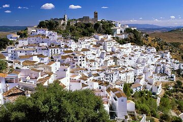 Airport Transfer: Malaga Airport AGP to Malaga by Luxury Van