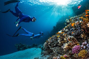 Budget Snorkeling Trip To Giftun Island in Hurghada 