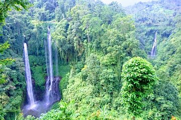 Private Tour The Magical Sekumpul Waterfall in The North of Bali