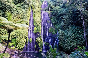 Wonderful Trip to Bali Paradise at Banyumala Waterfall