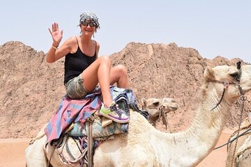 Sharm El Sheikh Desert Adventure Quad Biking & Camel Riding