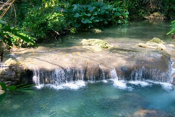 Mayfield Falls River Walk Private Tour 