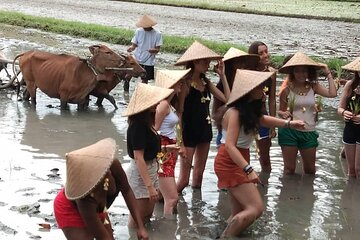 Experience Local Life Tour in Traditional Balinese Village