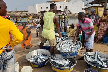 Full-Day Private Cape Coast Tour