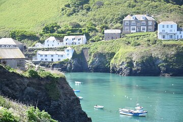 Half-Day Private Doc Martin and Fisherman's Friends Tour