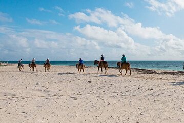 Private Horseback Riding On The Beach