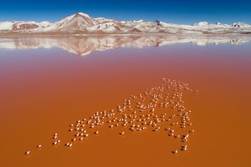 3-Days Tour to the Uyuni Salt Flat and Colored Lagoons +Sunset+Mirror Effect