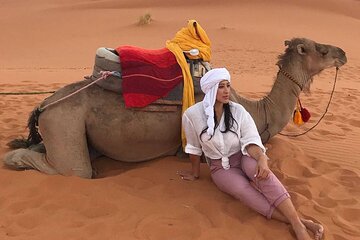 Agadir: Sahara Safari Experience
