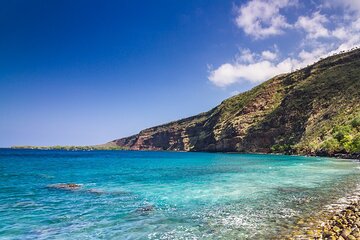 Kona Coast Cruise: Snorkel Kealakekua Bay & Dolphin Encounter